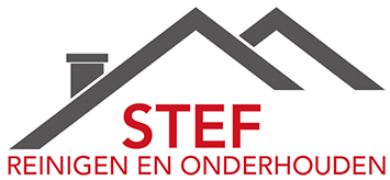 Stef